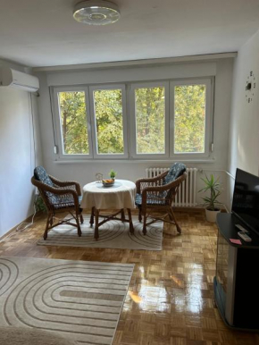 Apartman Tejsi